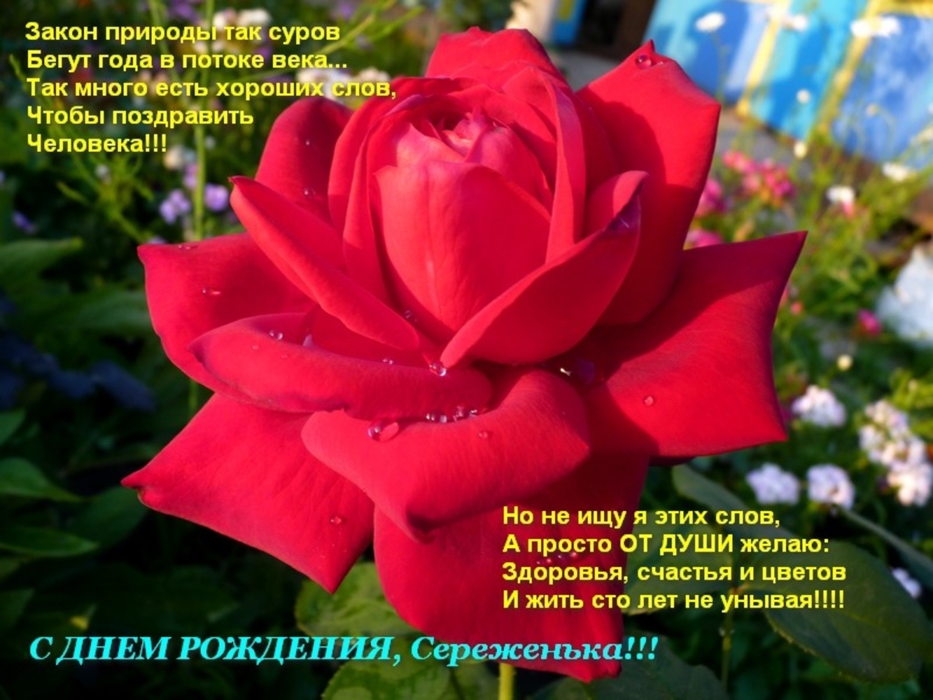 Поздравления С Днем Рождения Сергея Владимировича