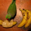 Джоник и бананы