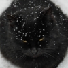 Кот дремает,снежинки собирает
