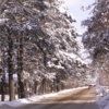Сквозь зиму дорога