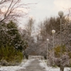 Парк Победы - первый снег