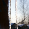 Плач зимы