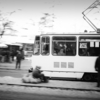 Львовский трамвай