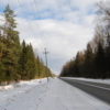 лес, дорога,зима
