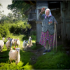 Бабушка и семеро козлят