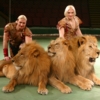 Три красавца льва и дресировщики