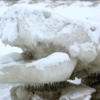 Ледяной ящер