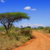 Tsavo-West