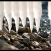 лед - вода