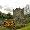 Narrow Water Castle