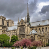 Notre Dame de Paris