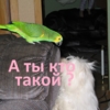 А ты кто такой?