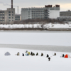 Городские "пингвины"