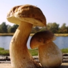 Парочка