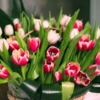 Тюльпаны для дамы