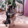 Ну скажите "вольно", наконец:((