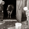 Уставились