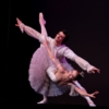 Звезды Российского балета