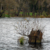 Трон для водяного