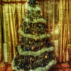 Merry Christmas !!!