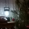 В новогодний вечер.
