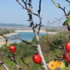 Осень на склоне Чатыр-Дага