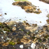 Ice stone