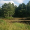 Река Каменка