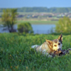 С косточкой весело жить:)