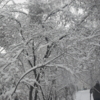Лыжи