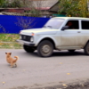 Нападение.