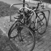 Дружба двух велосипедов