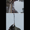 В одной связке