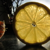 В кольце лимонном