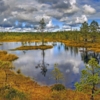 Национальный парк Эстонии "Болота Виру"