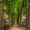 Аллеи PÈRE-LACHAISE