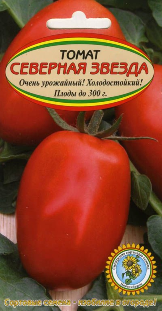 Сорт помидоров звезда. Томат Северная звезда. Томат звезда Востока. Сорт томата звезда. Томат звезда Сибири.