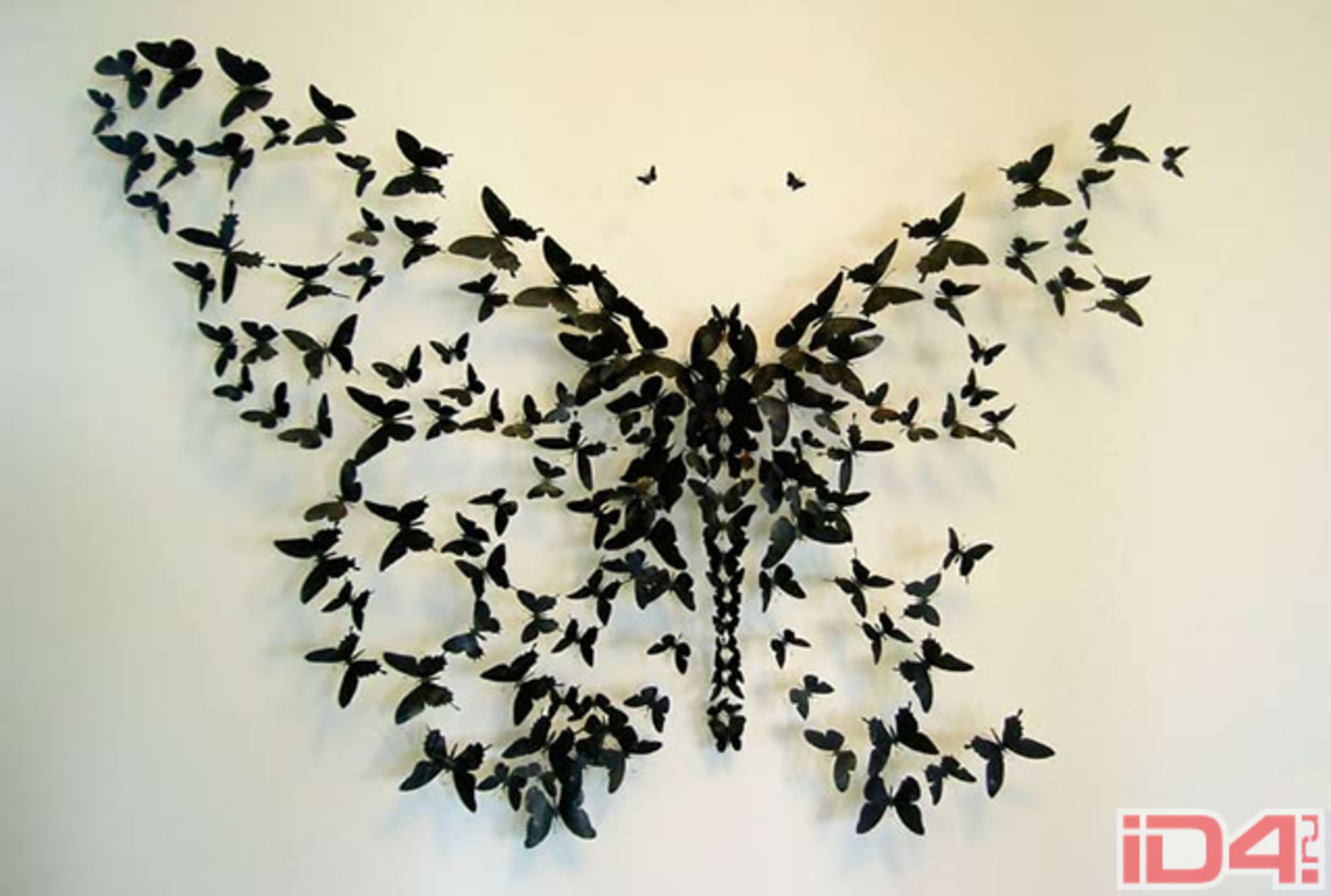 Изображение бабочек в интерьере
