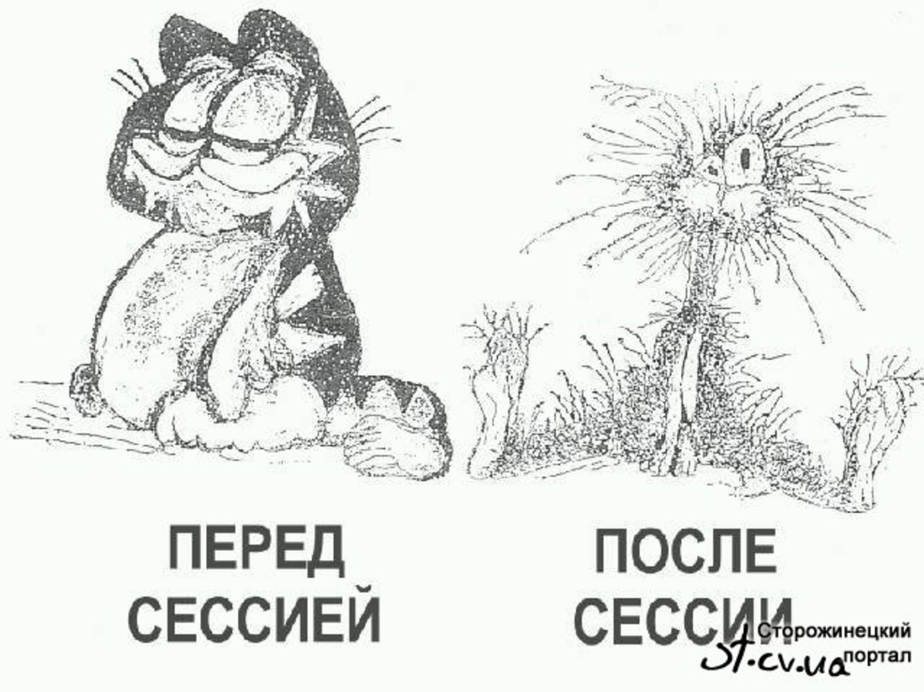 После экзаменов. Шутки про сессию. Сессия рисунок. До сессии после сессии. Сессия картинки.