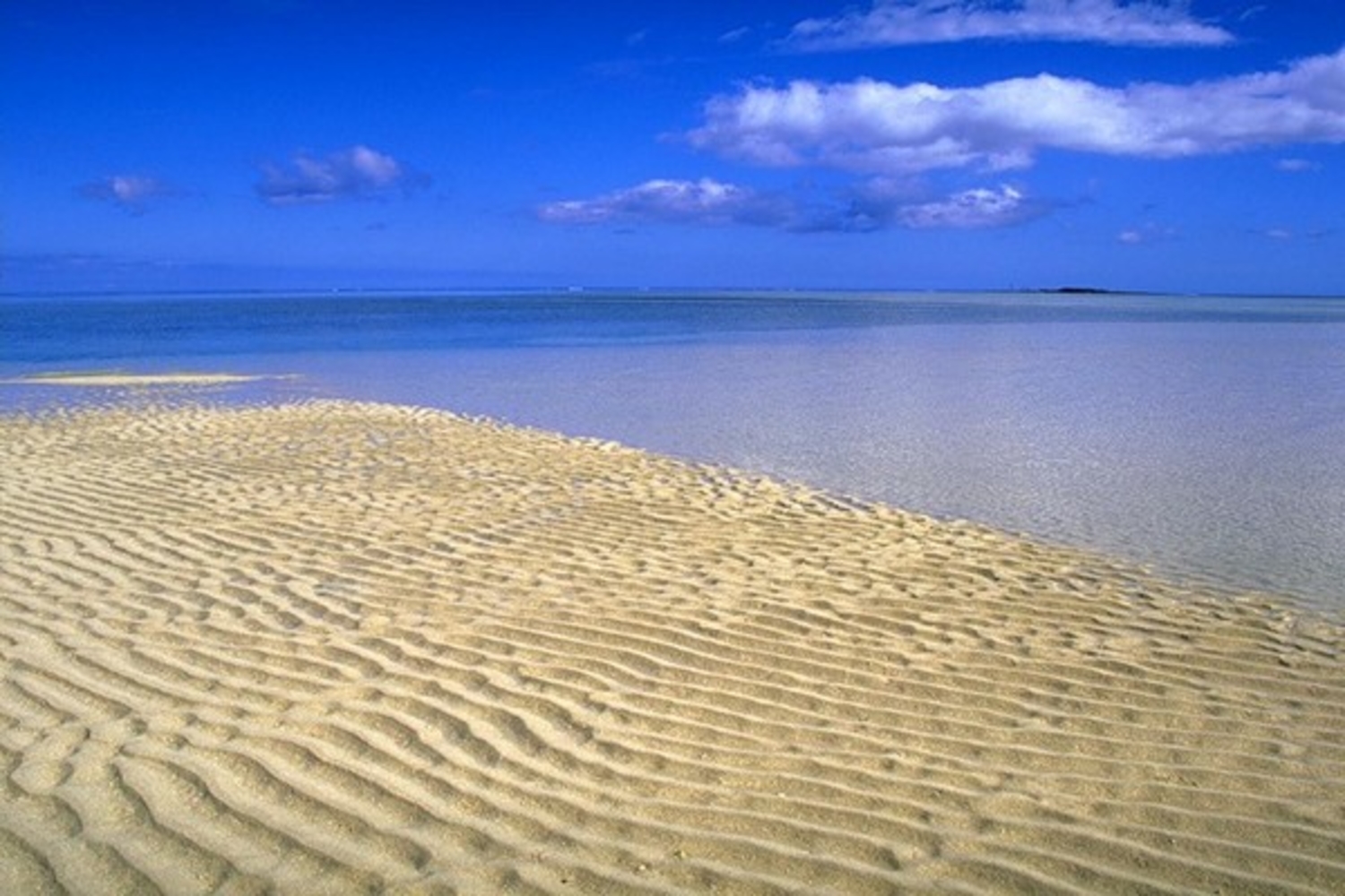 что такое песчаный пляж