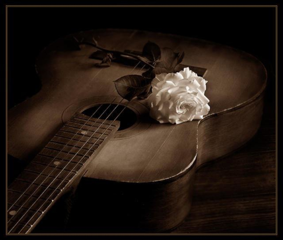 Романс среди. Гитара. Гитара романтика. Гитара цветы.