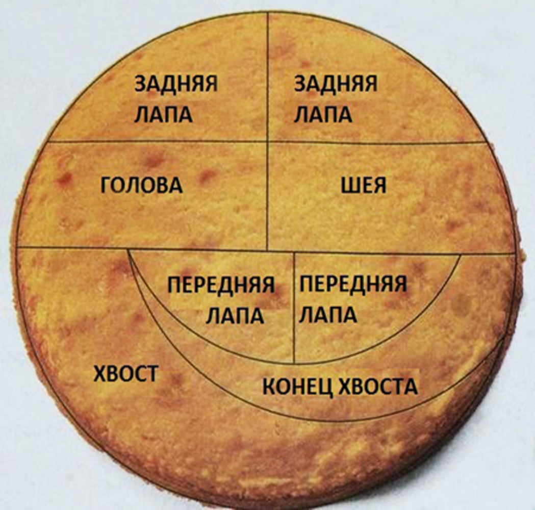 Как сделать овальный торт из круглых коржей