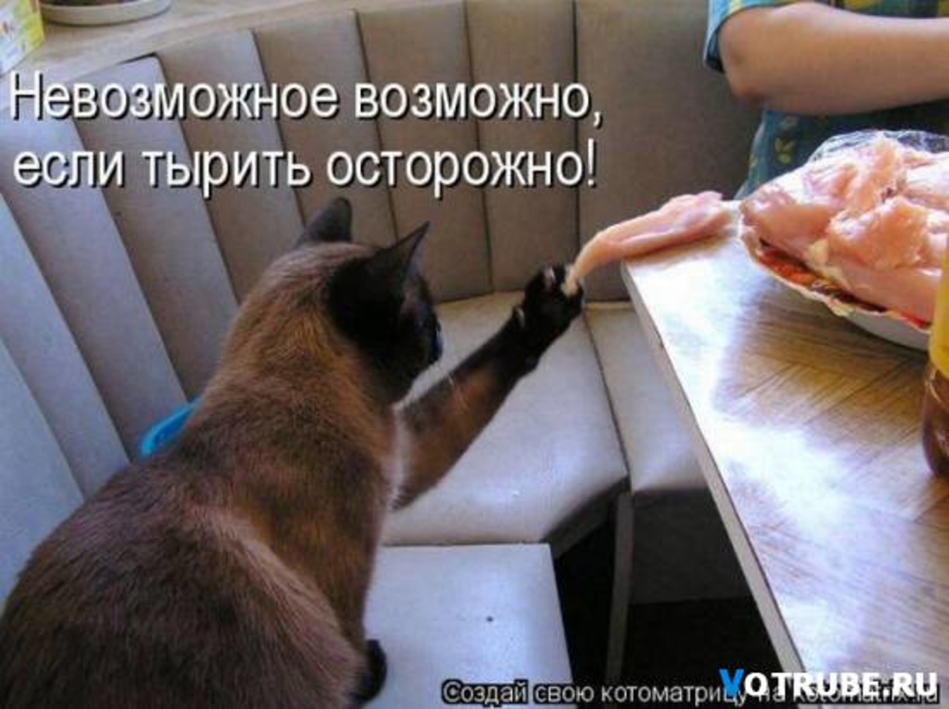 Пришел с английского на русский. Кот ворует. Кот ворует юмор. Невозможное возможно демотиватор.