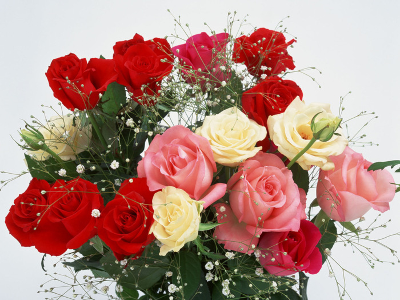 розы с днем рождения женщине красивые картинки