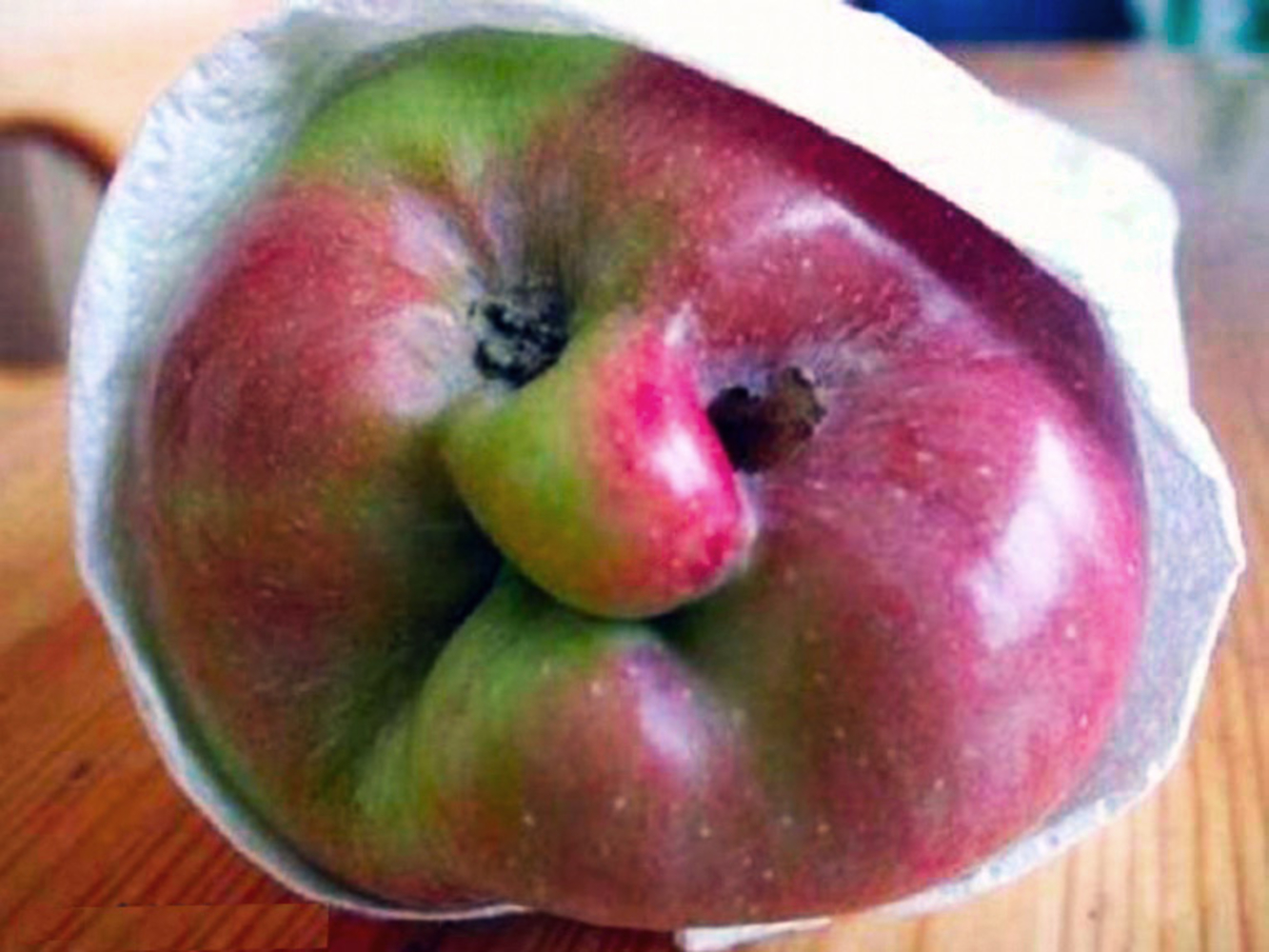 Яблоко фрукт или овощ. Сорт яблок ворчливая бабушка. Смешное яблоко. Яблочко смешное. Яблоко прикол.
