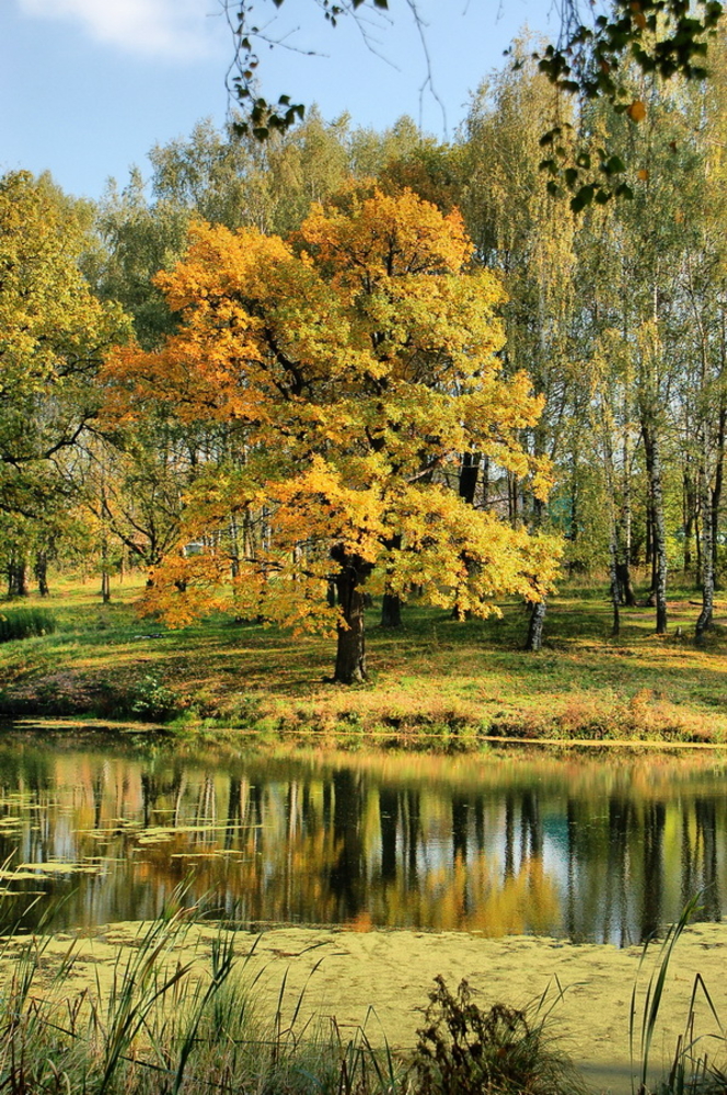 Осенние Зарисовки Фото