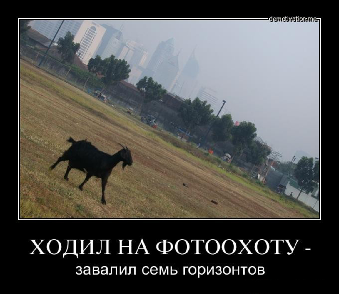 Плющ элегантиссима. Он завалил ее в ближайшие кусты. Боярышник кусты для живой изгороди. Он завалил ее в ближайшие кусты. Туя даника живая изгородь.