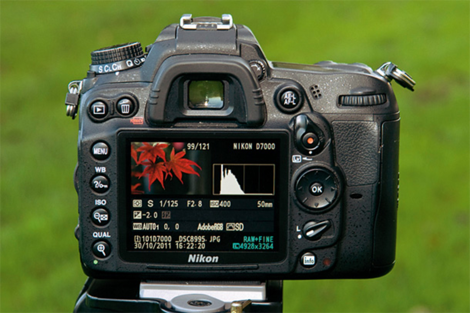 Nikon d7000. Дисплей Nikon d7000. Nikon d7000 кнопки. Экспокоррекция в Никоне. Экспокоррекция на фотоаппарате Nikon.