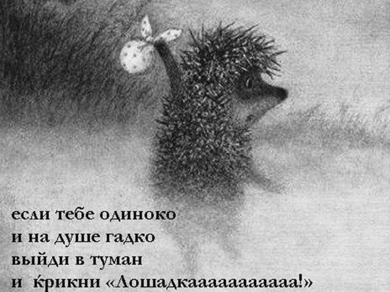 Ежик в тумане картинка прикол