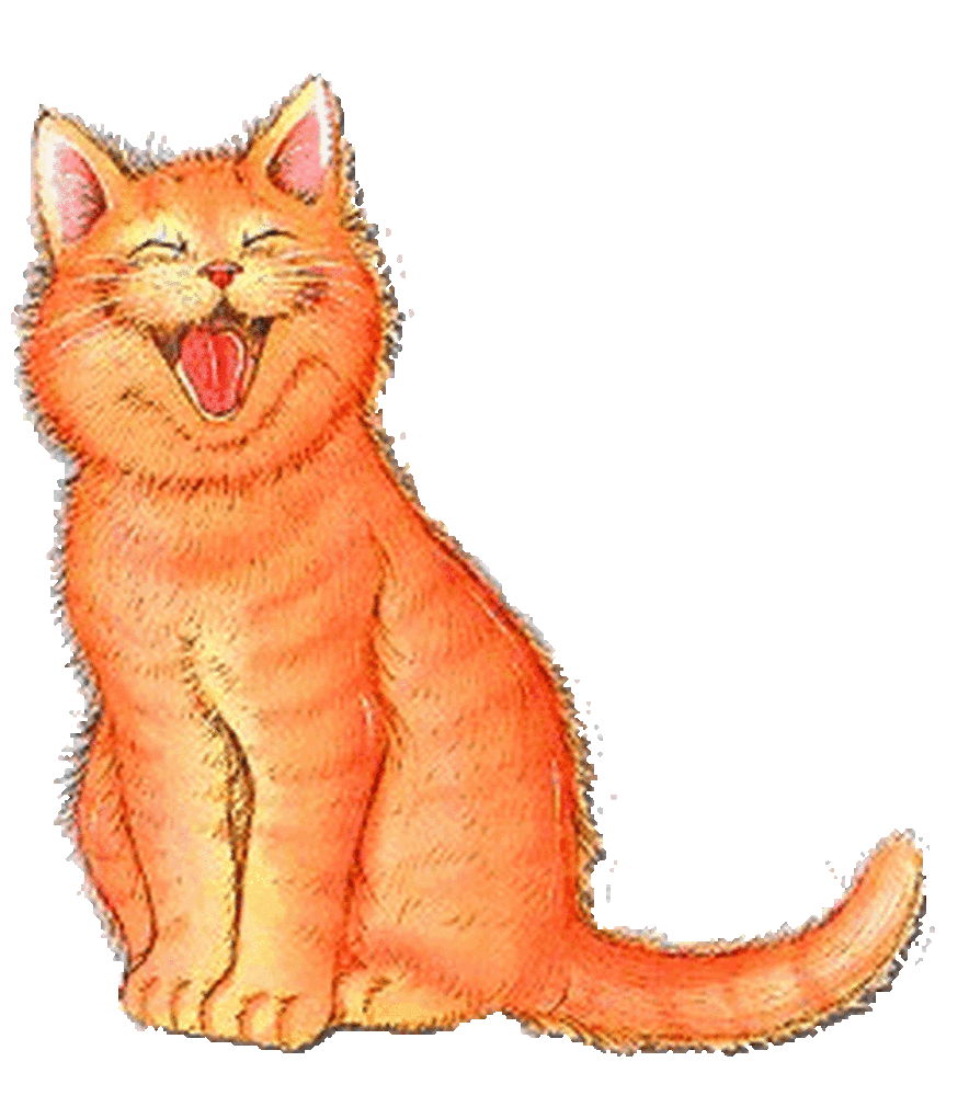 Киска мяу. Кошка иллюстрация. Рыжая кошка рисунок. Рыжий кот рисунок. Мультяшный кот.